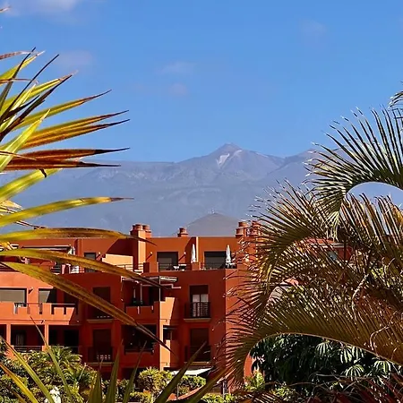 Sunny La Tejita