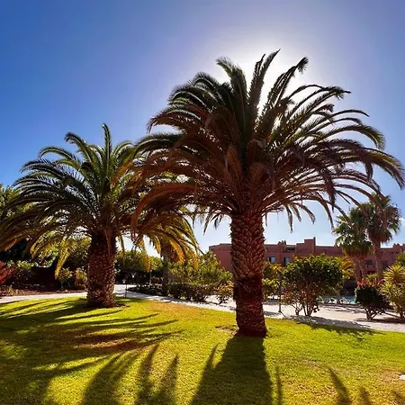 Sunny La Tejita
