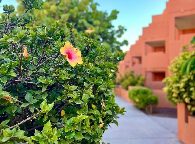 Sunny La Tejita Apartment *