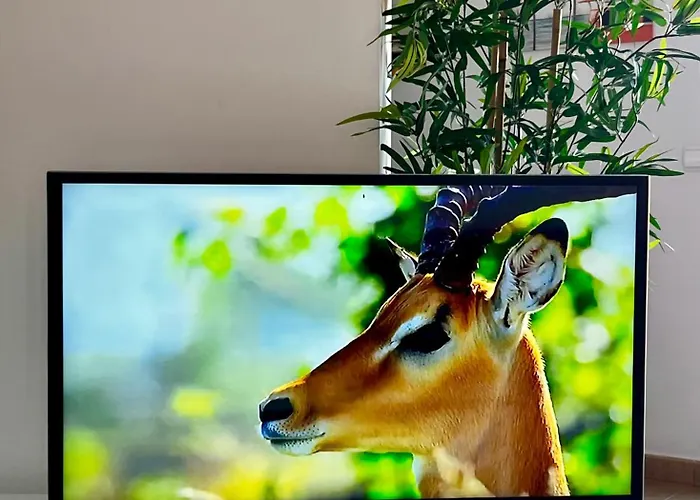 Sunny La Tejita * Granadilla De Abona