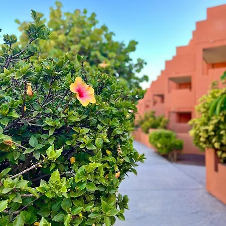 Sunny La Tejita Διαμέρισμα *