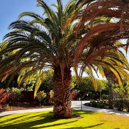 Sunny La Tejita Διαμέρισμα *