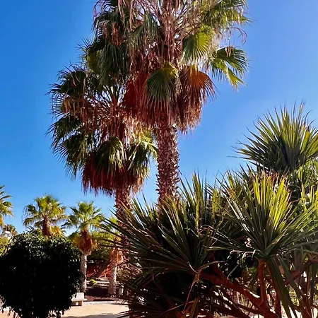 Sunny La Tejita Διαμέρισμα Granadilla De Abona