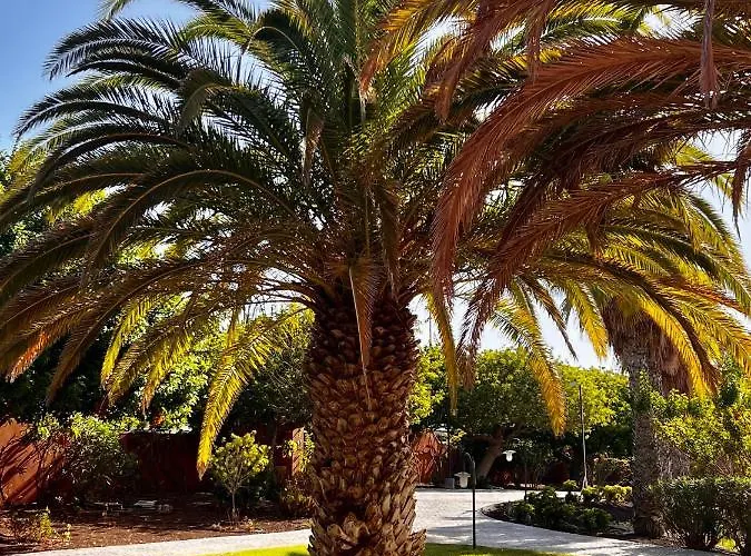 Sunny La Tejita Apartamento *