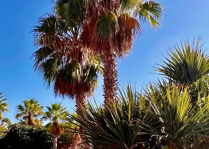 Sunny La Tejita Apartamento Granadilla De Abona